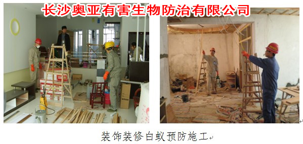 �����b���������ρ�A(y��)���᣿