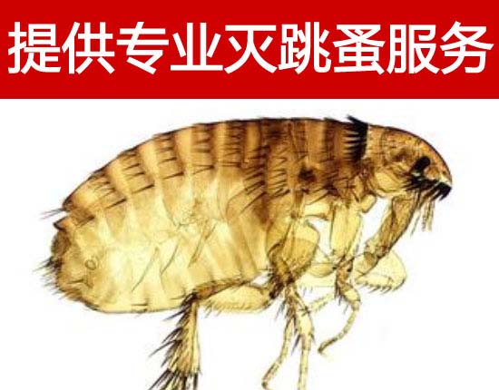 ����߀�ڱ��������_�᣿���Ҏ����Q�����I����ȫ���б���