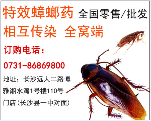 �e�^���ķ��Σ�