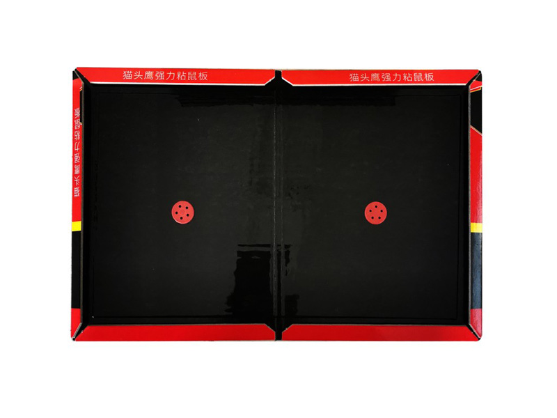 ����ճ���,���������󺦿���ϵ�y������������������C��������󣬏N�����󣬂}�����