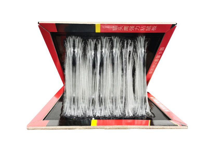 ����ճ���,���������󺦿���ϵ�y������������������C��������󣬏N�����󣬂}�����